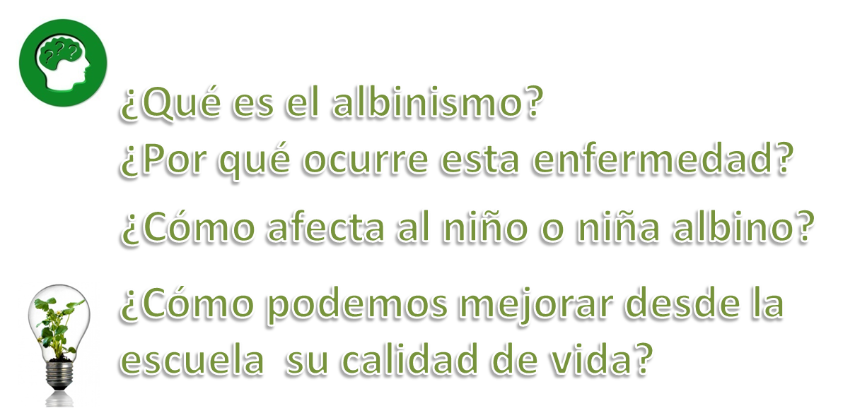 Proyectos